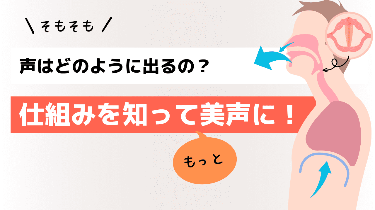 【そもそも】声はどのように出るの？ 仕組みを知ってもっと美声に！