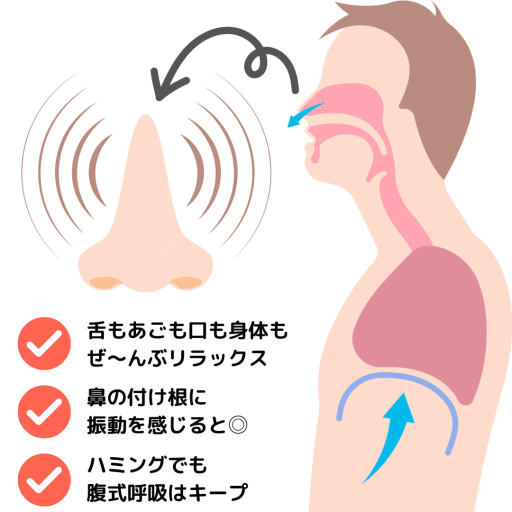 ハミングの解説画像 ポイント１：下も顎も口も体も全部リラックス ポイント２：鼻の付け根に振動を感じられるとよい ポイント３：ハミングでも腹式呼吸はキープ