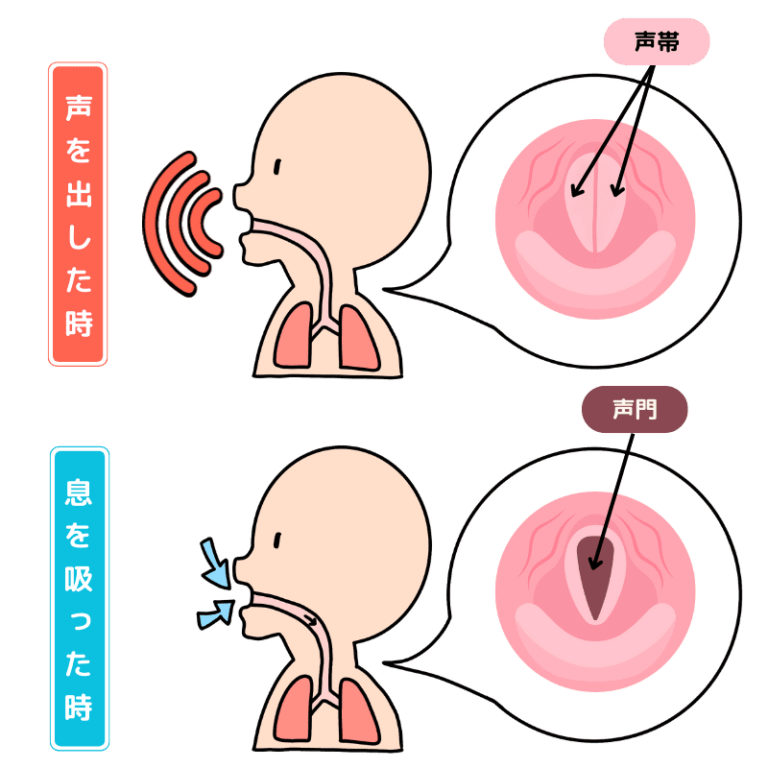 声も老けます！声帯トレーニングで声の若返り大作戦☆