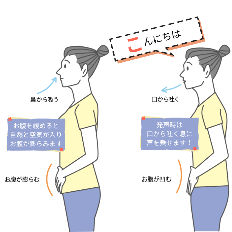 腹式発声：話し始めでお腹に力を入れる