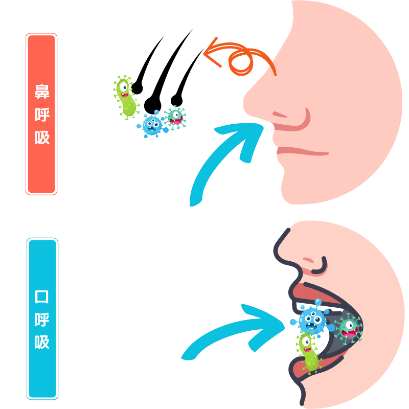 鼻呼吸と口呼吸の違い