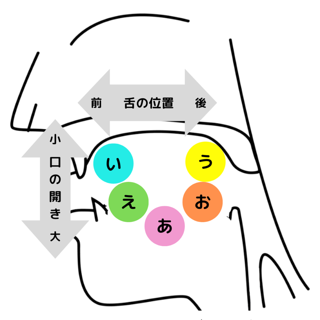 母音「あいうえお」の舌の位置と口の開きの図